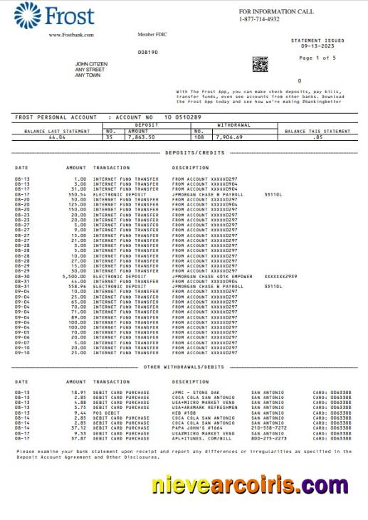 USA Frost Bank statement Word and PDF